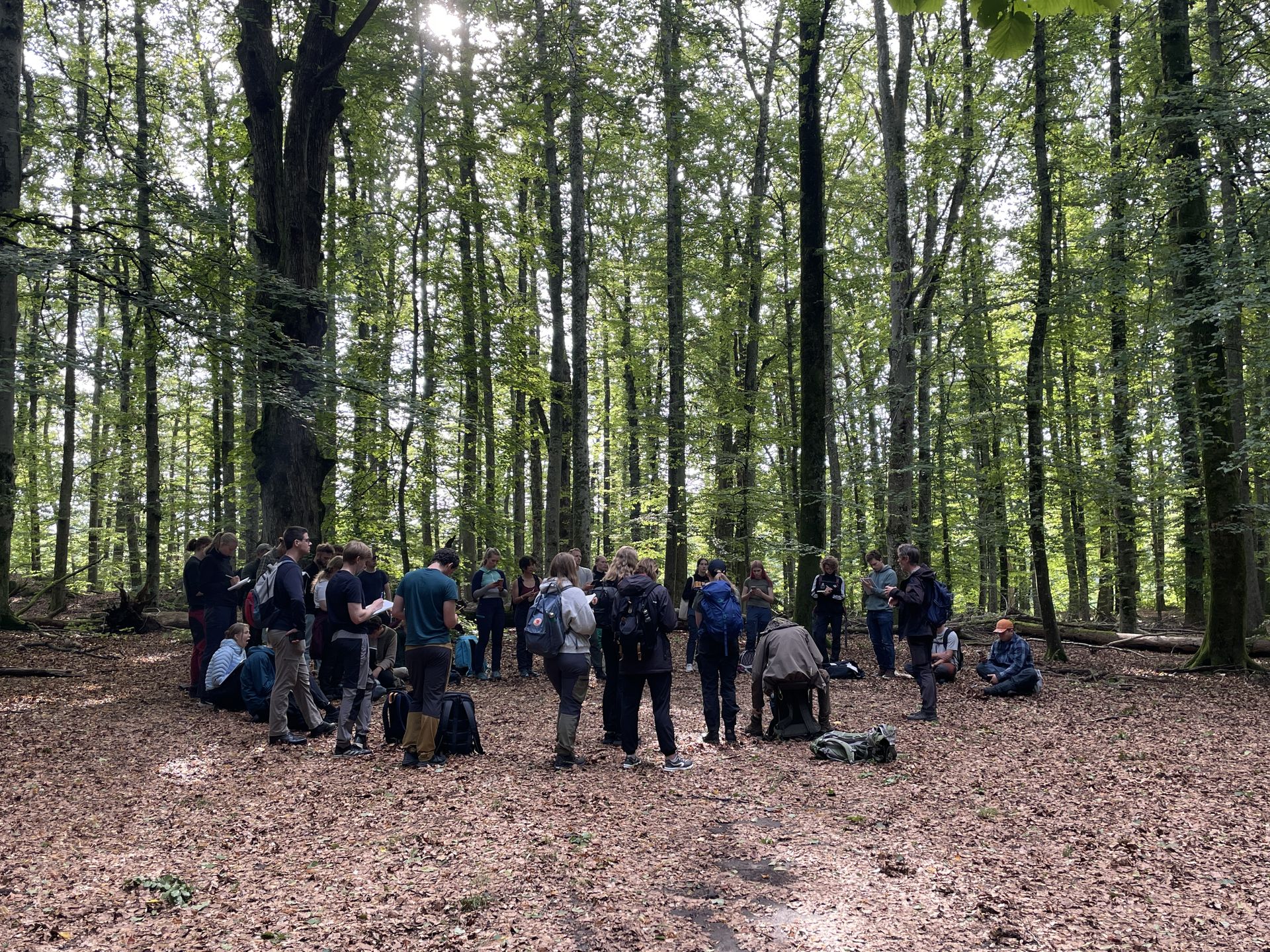 Student som presenterer en poster om naturforvaltning