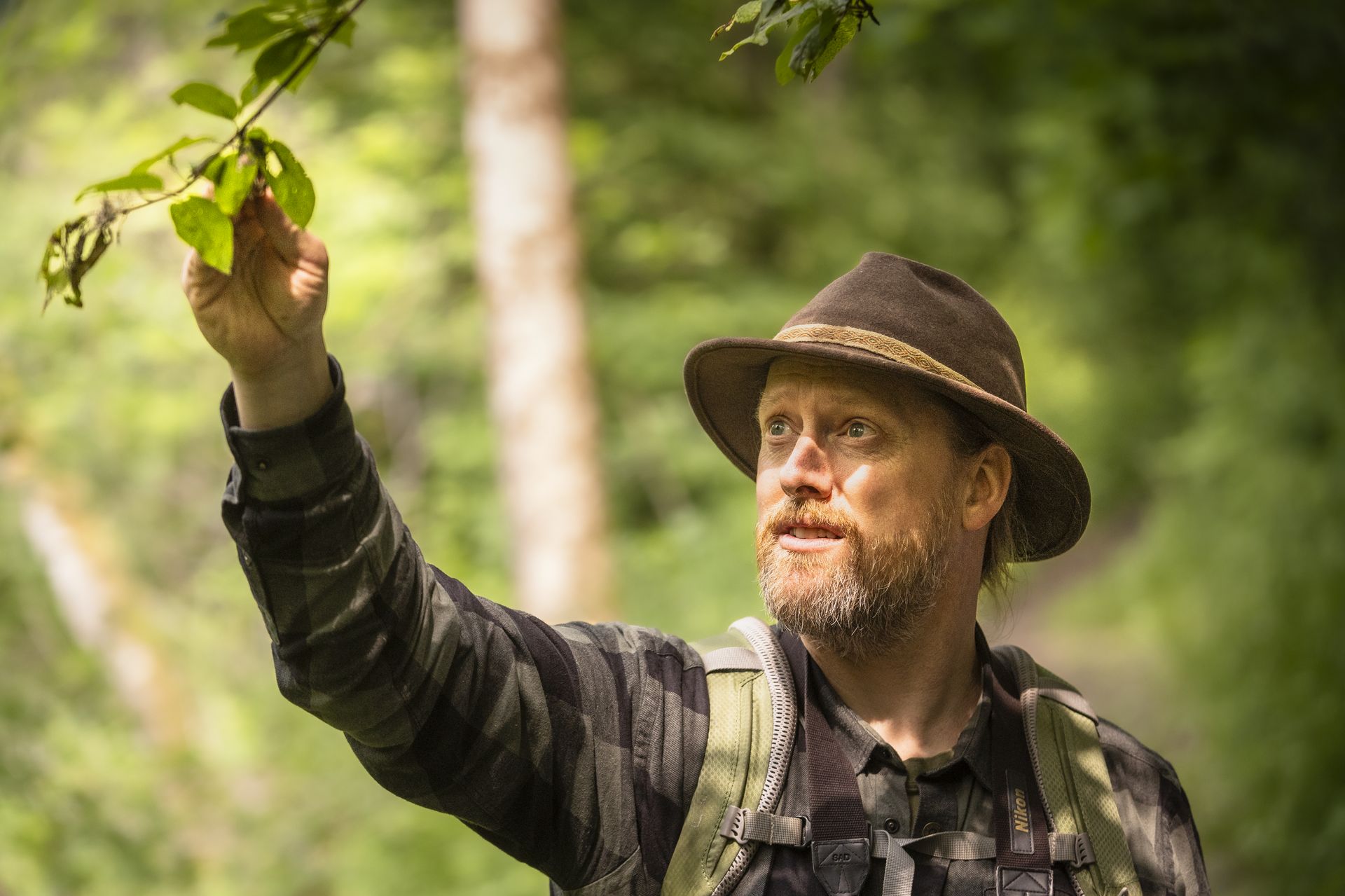 Portrettbilde av Ronny Steen